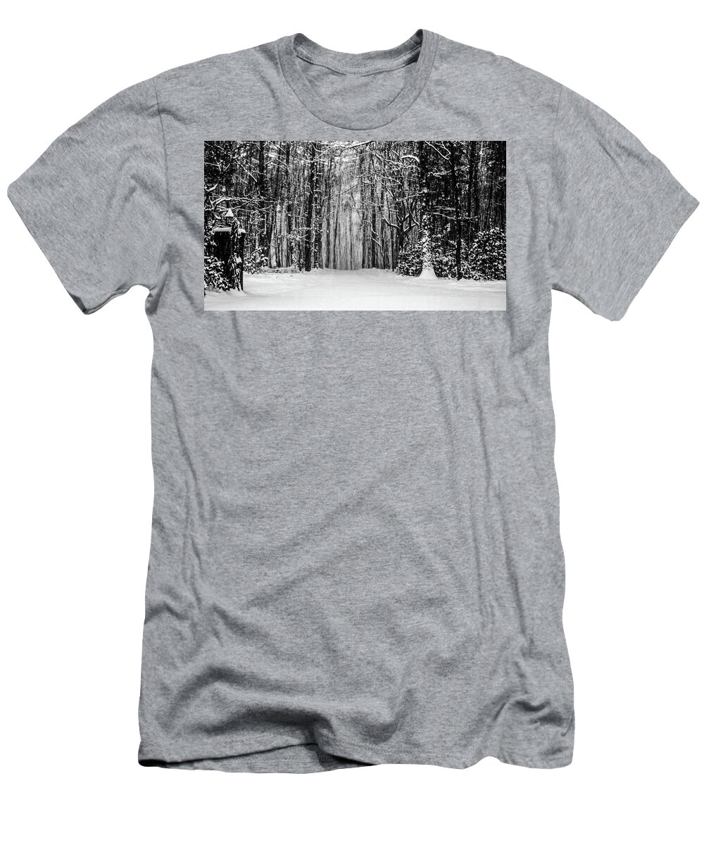 Catskills T-Shirt featuring the photograph Snow Storm by Louis Dallara