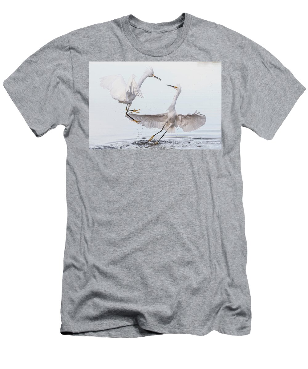 Snowy Egrets T-Shirt featuring the photograph Snowy Egret Face-off 3877-112221-2 by Tam Ryan