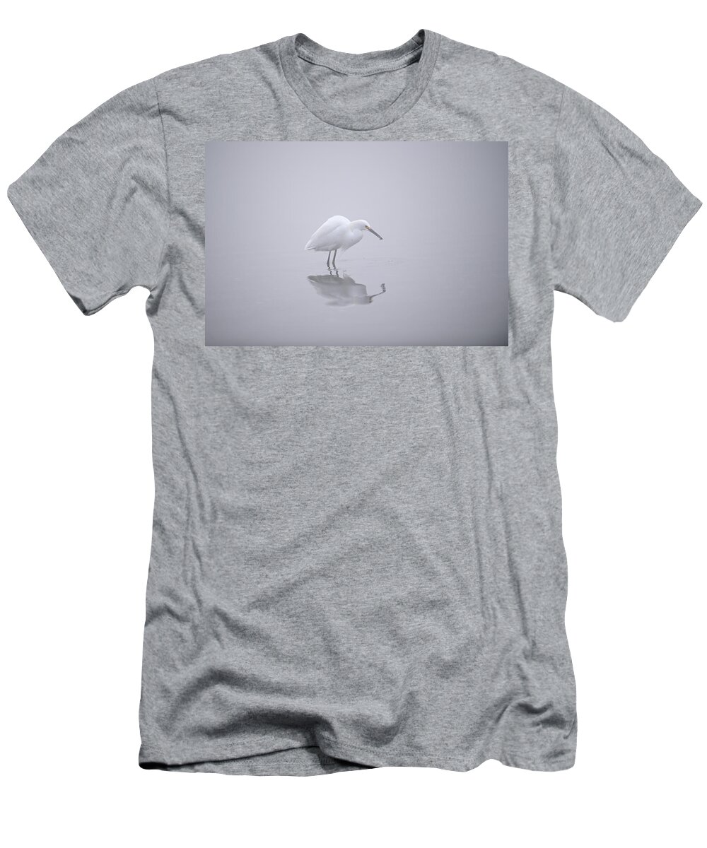 Snowy Egret T-Shirt featuring the photograph Snowy Egret Fishing in the Fog - Shoreline Lake by Amazing Action Photo Video