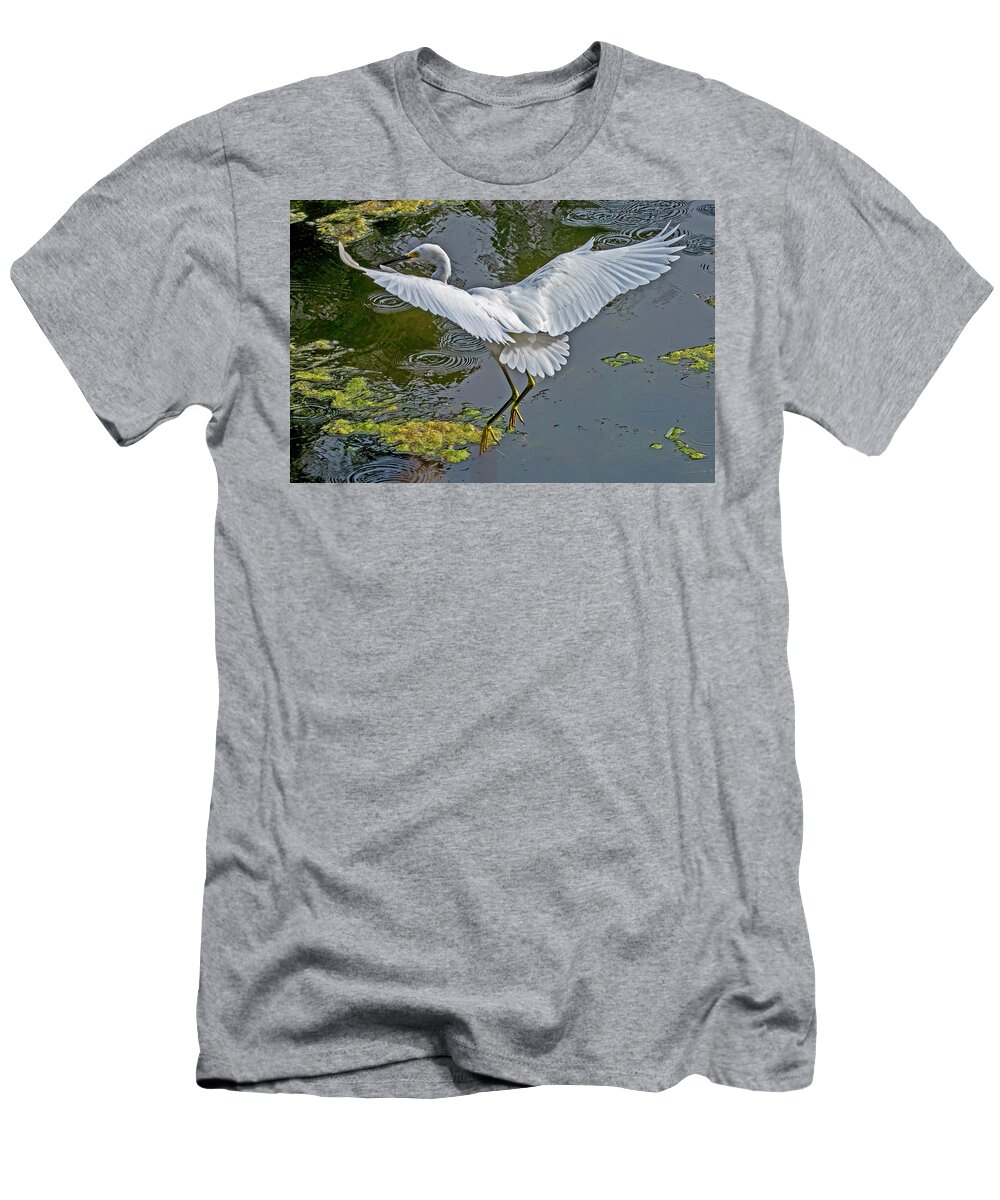  T-Shirt featuring the photograph Snowy Egret Landing #1 by Carla Brennan