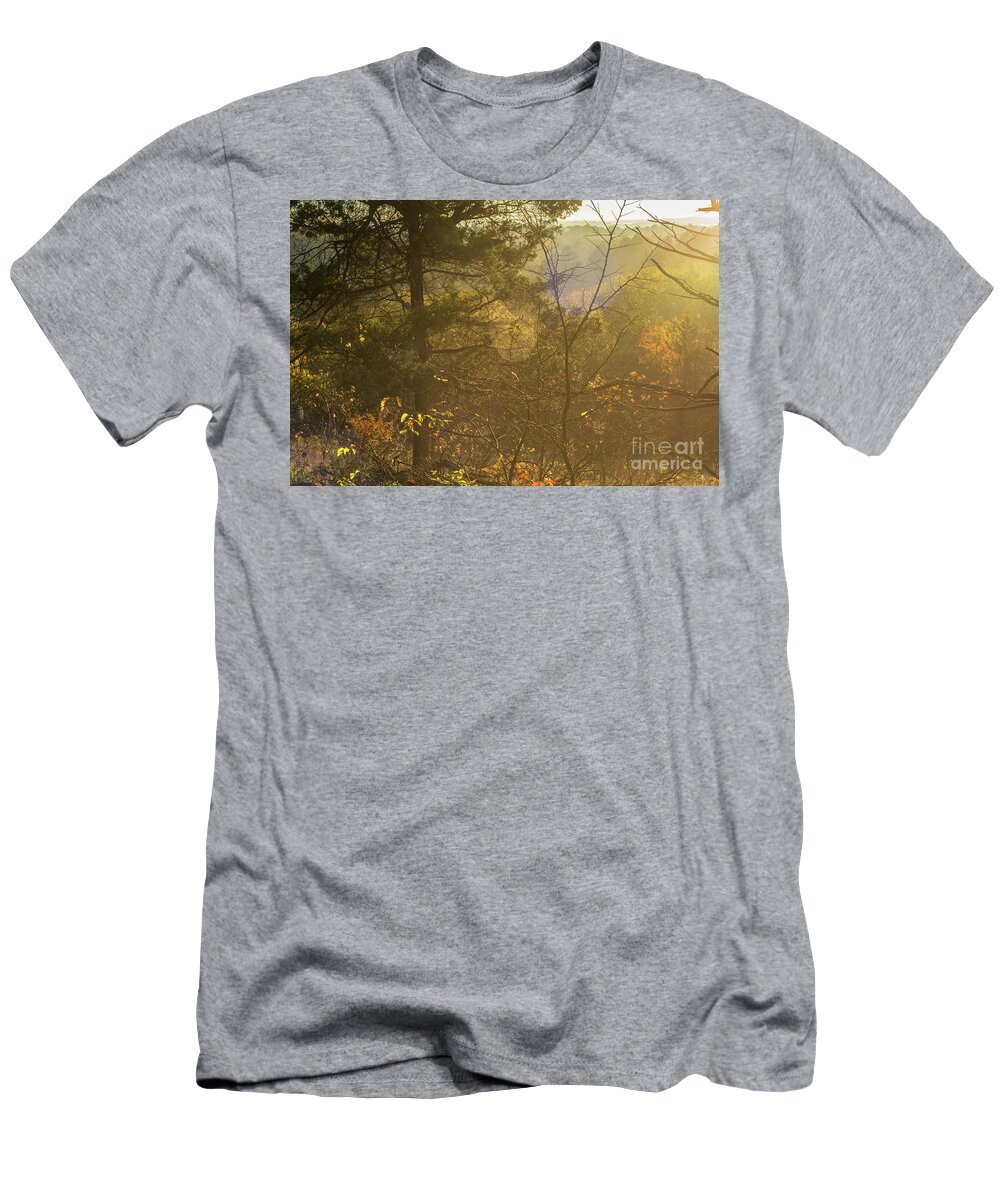 Spiderweb T-Shirt featuring the photograph Spiderweb Forest Sunrise by Jennifer White