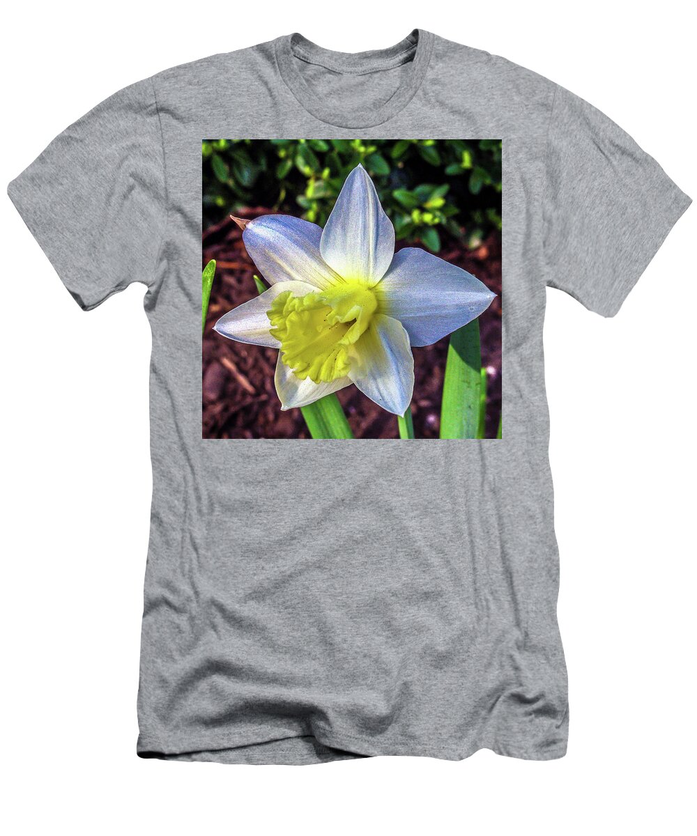 Daffodils T-Shirt featuring the photograph Spring Daffodil Flowers by Louis Dallara