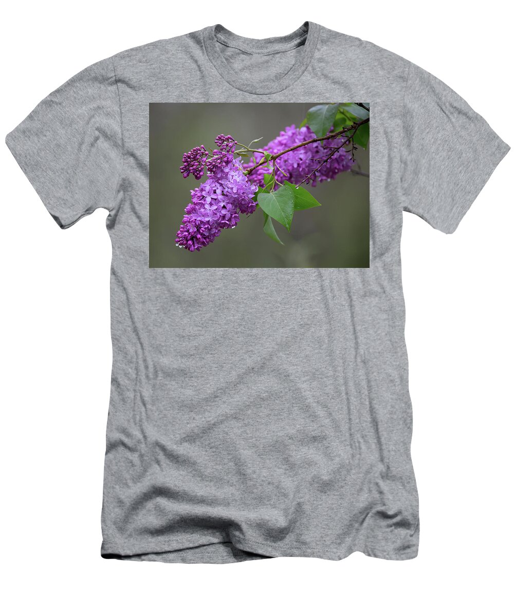 Spring T-Shirt featuring the photograph Spring Lilacs by Dale Kincaid