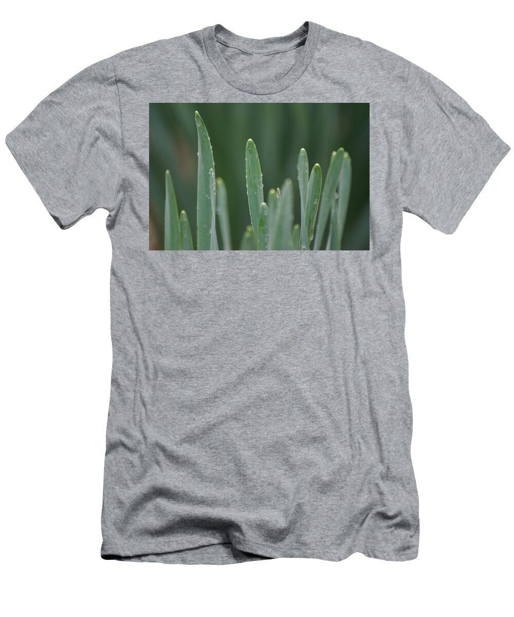Water T-Shirt featuring the photograph Spring Rain by Heather E Harman