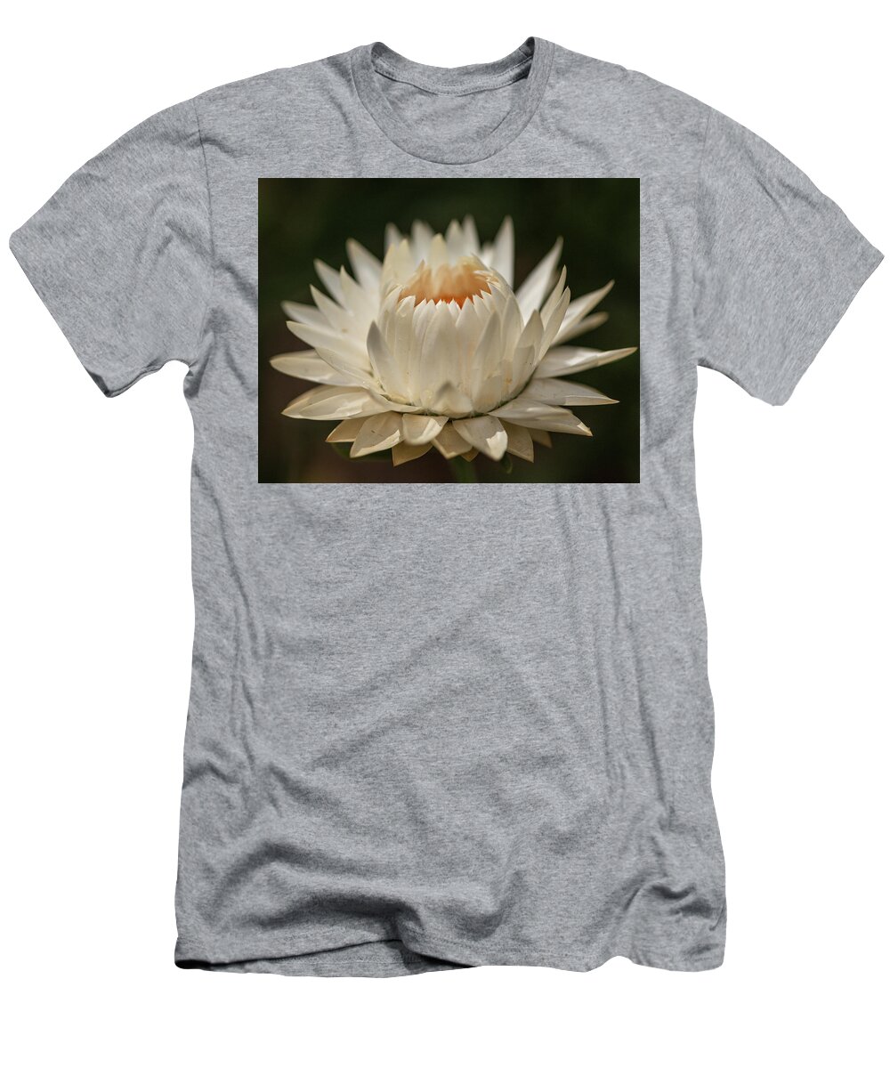 Macro T-Shirt featuring the photograph Standoffish by Laura Macky