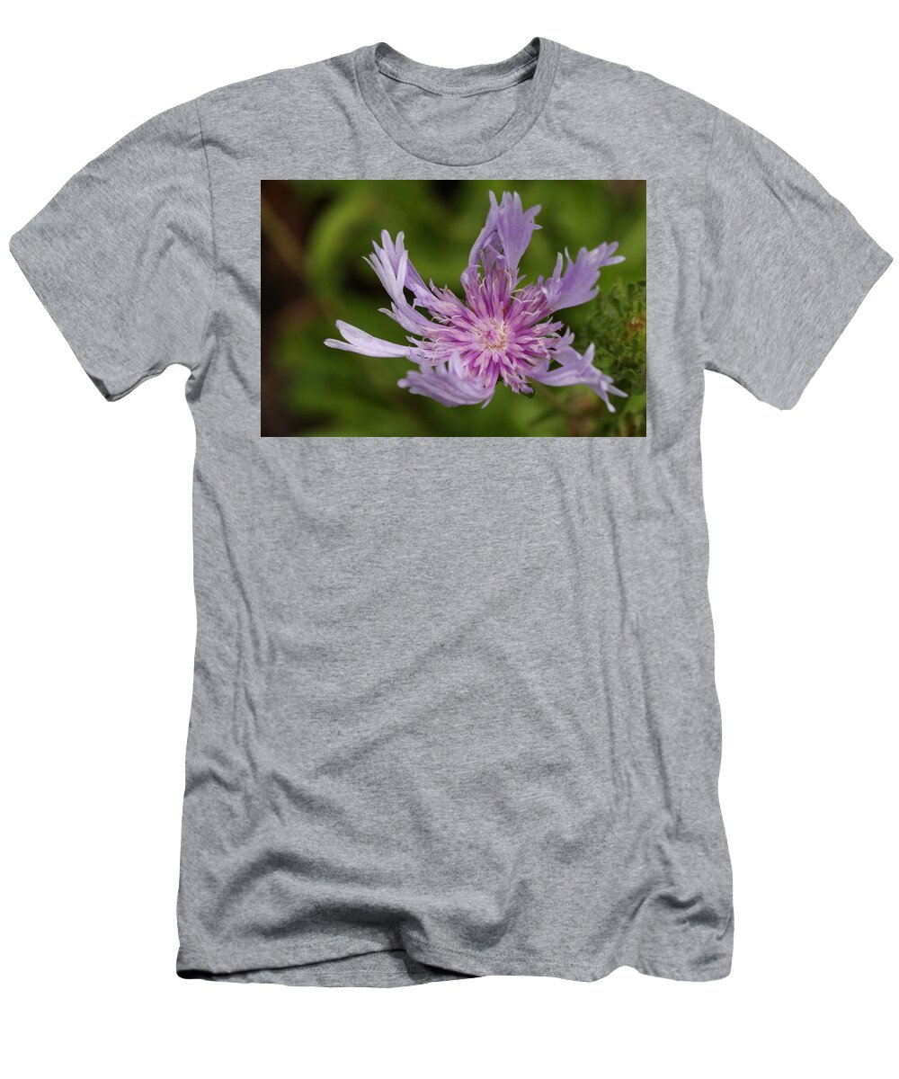 Stoke’s Aster T-Shirt featuring the photograph Stoke's Aster Flower 4 by Mingming Jiang