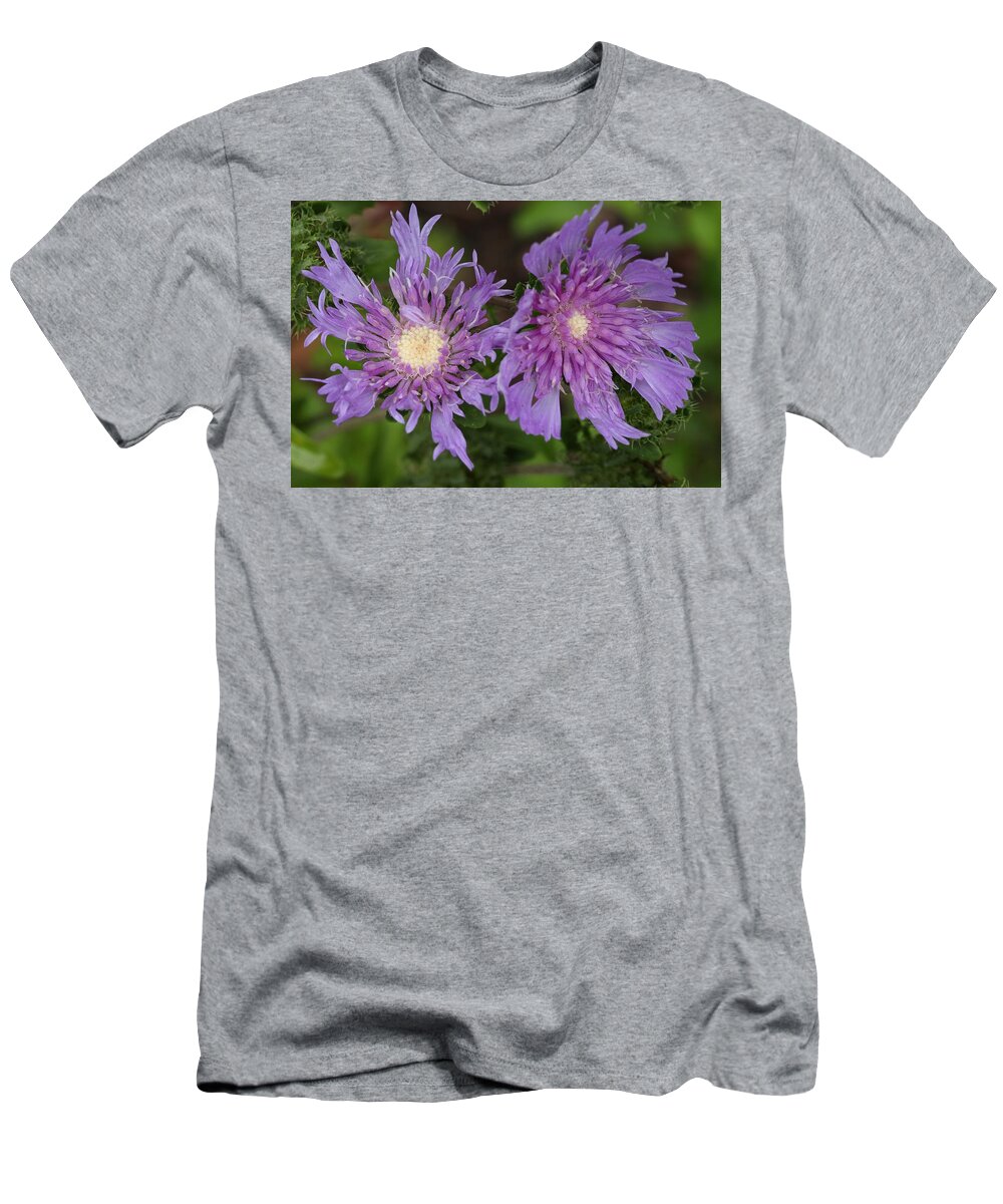 Stoke’s Aster T-Shirt featuring the photograph Stoke's Aster Flower 5 by Mingming Jiang