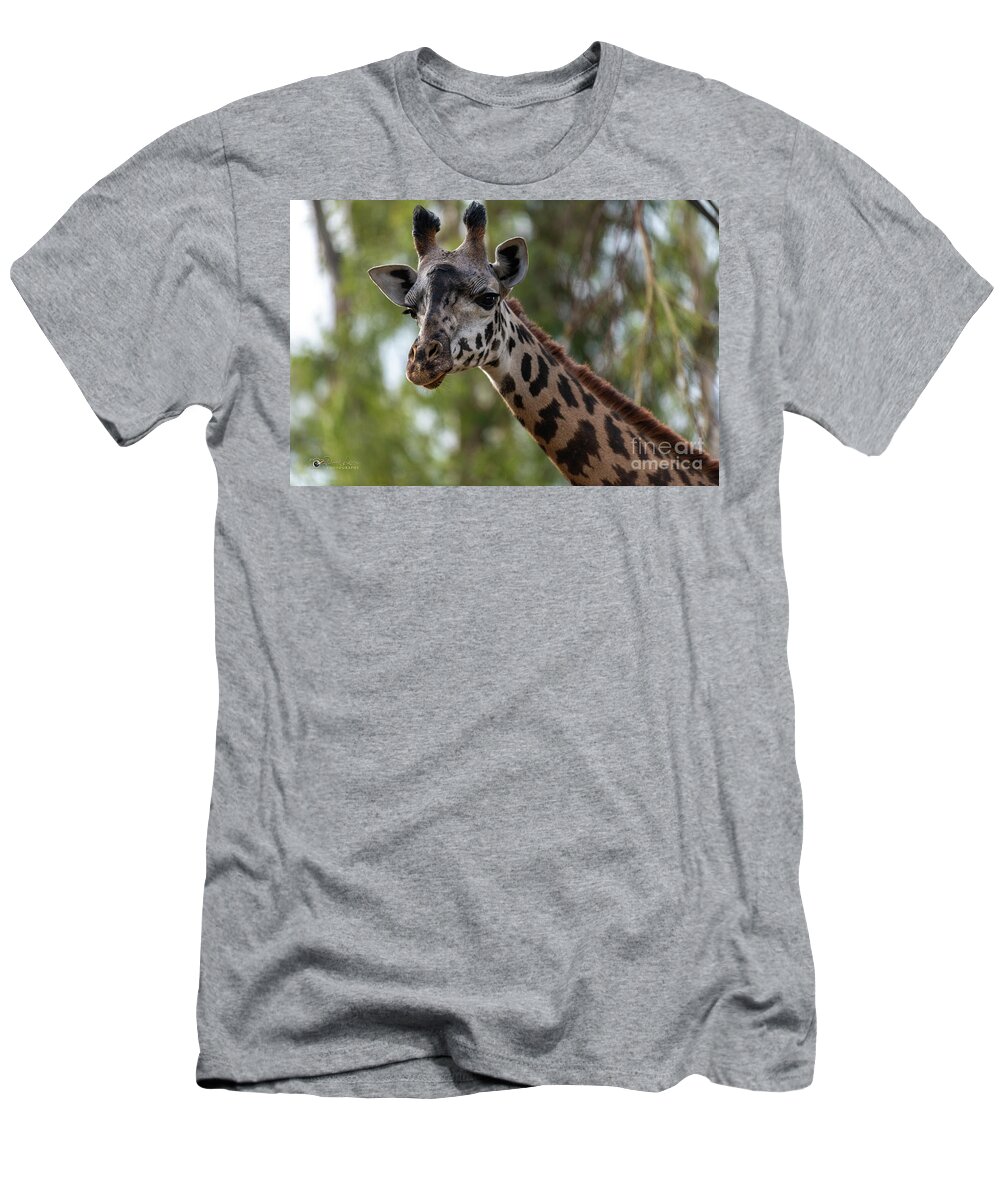 San Diego Zoo T-Shirt featuring the photograph Stretching My Neck Out for This Photograph by David Levin