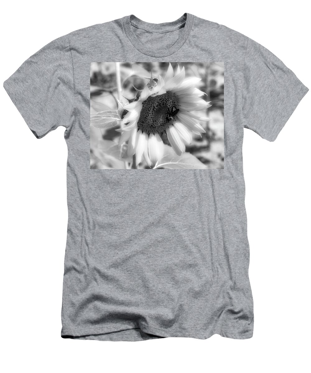 Sunflower T-Shirt featuring the photograph Sultry Black and White Sunflower by AS MemoriesLiveOn