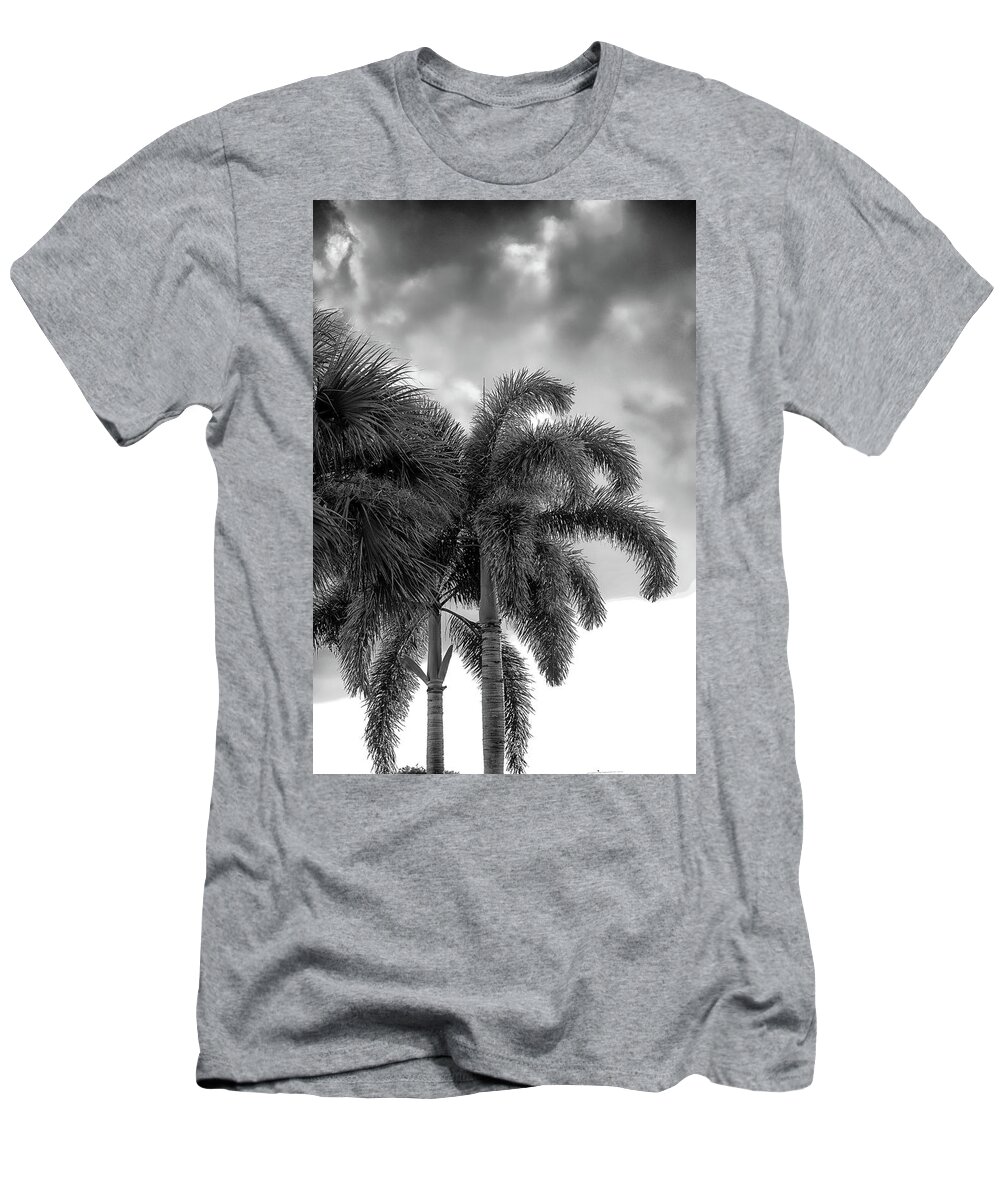 Palms T-Shirt featuring the photograph Sun and Clouds Behind Palms by Alan Goldberg