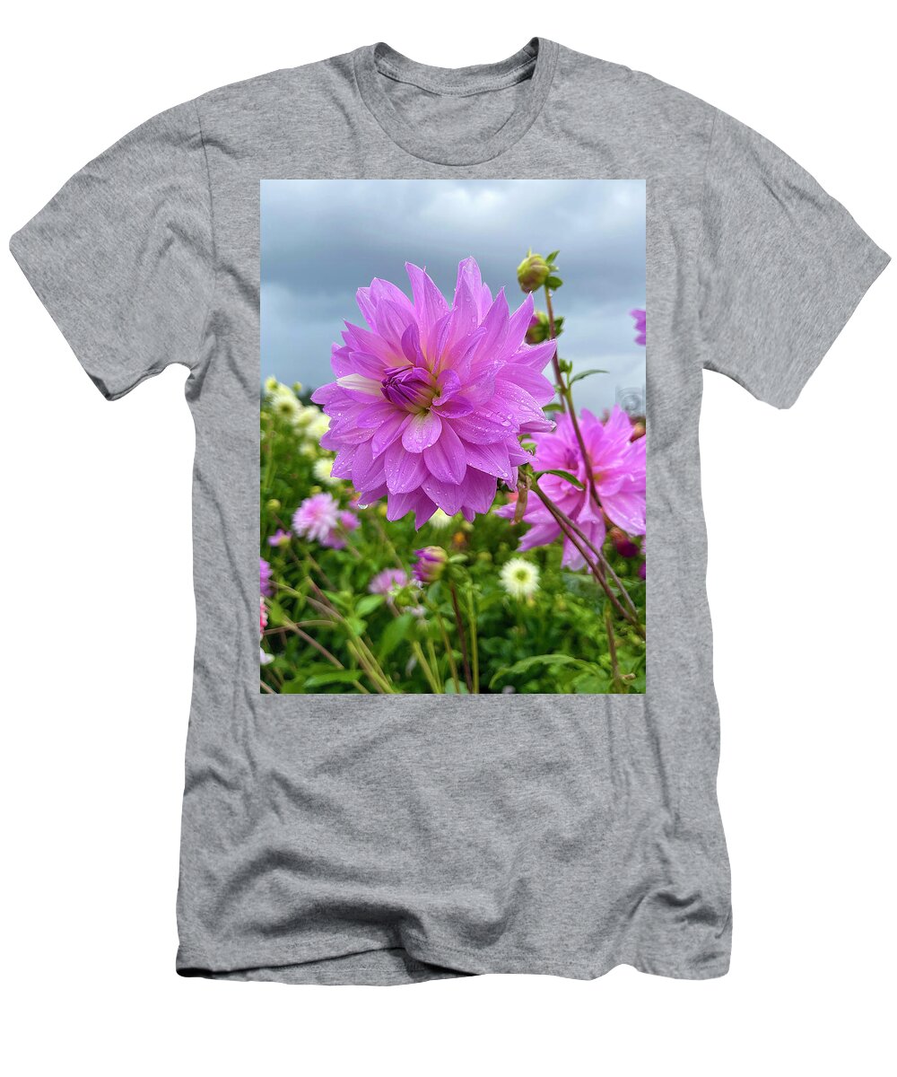 Flower T-Shirt featuring the photograph Sun Searching by Brian Eberly