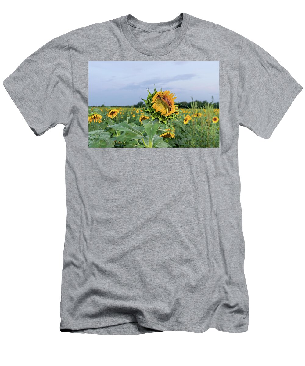 Sunflower T-Shirt featuring the photograph Sunflower King by John Kirkland