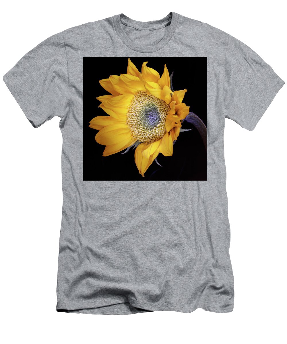 Botanical T-Shirt featuring the photograph Sunflower Square by Julie Powell