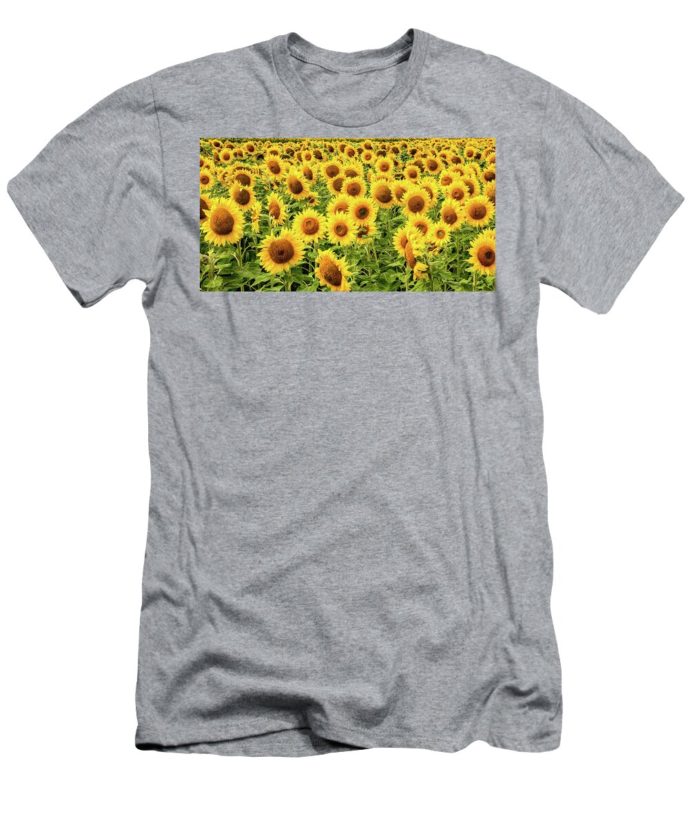 Sunflowers T-Shirt featuring the photograph Sunflowers As Far As The Eye Can See by Marcy Wielfaert