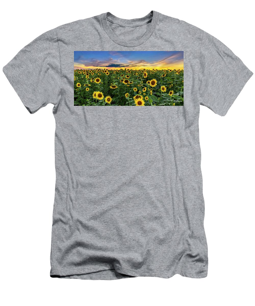 Sunflowers T-Shirt featuring the photograph Sunflowers at Sunset -Panorama by Harold Rau