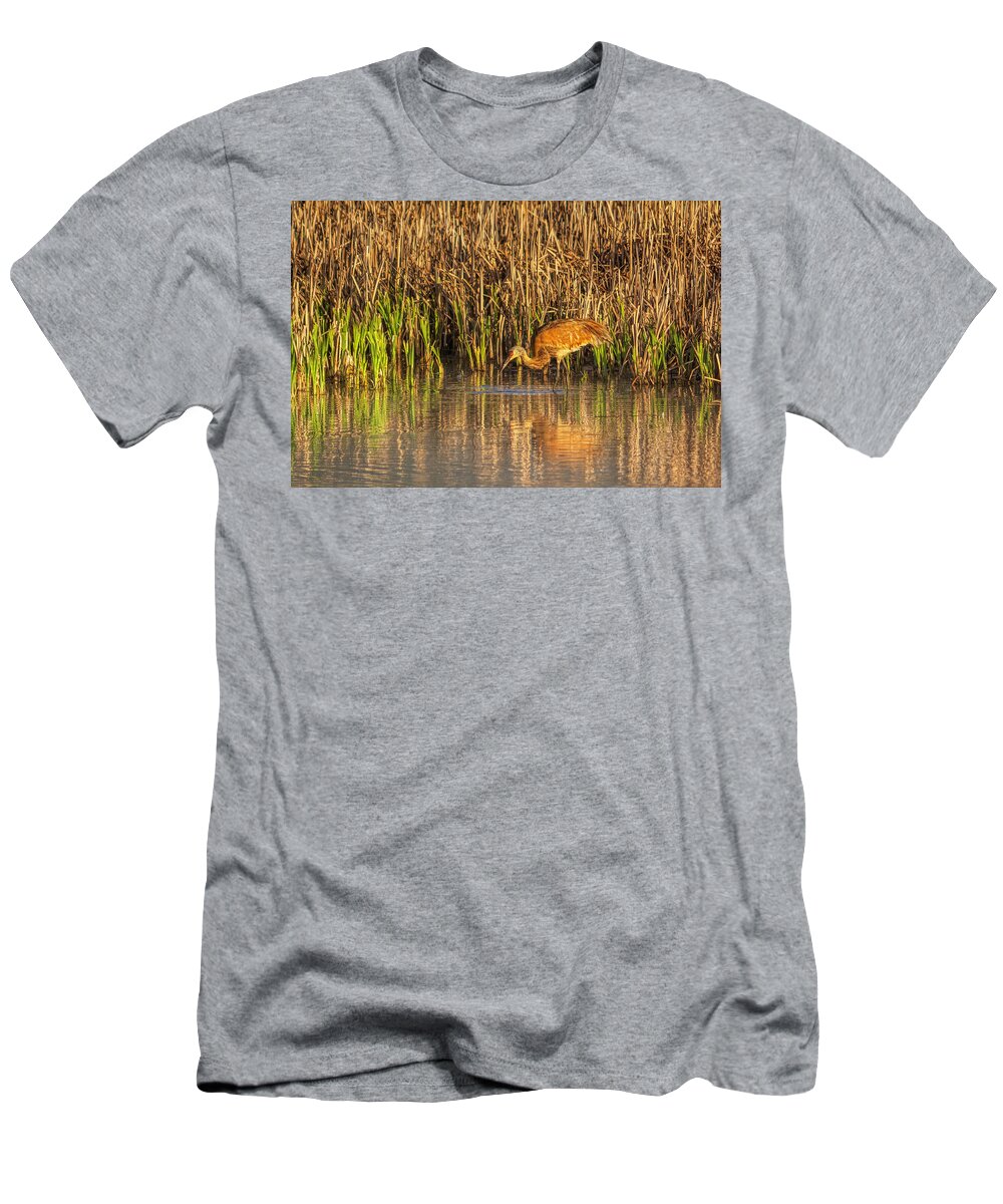 Bird T-Shirt featuring the photograph Sunrise Sandhill by Pamela Dunn-Parrish