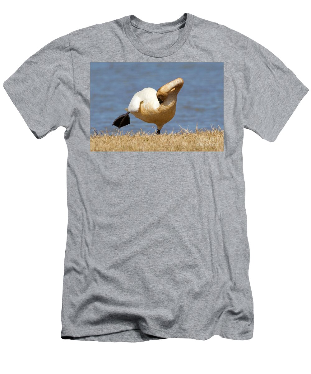 Swan Ballet T-Shirt featuring the photograph Swan Ballet by Yvonne M Smith