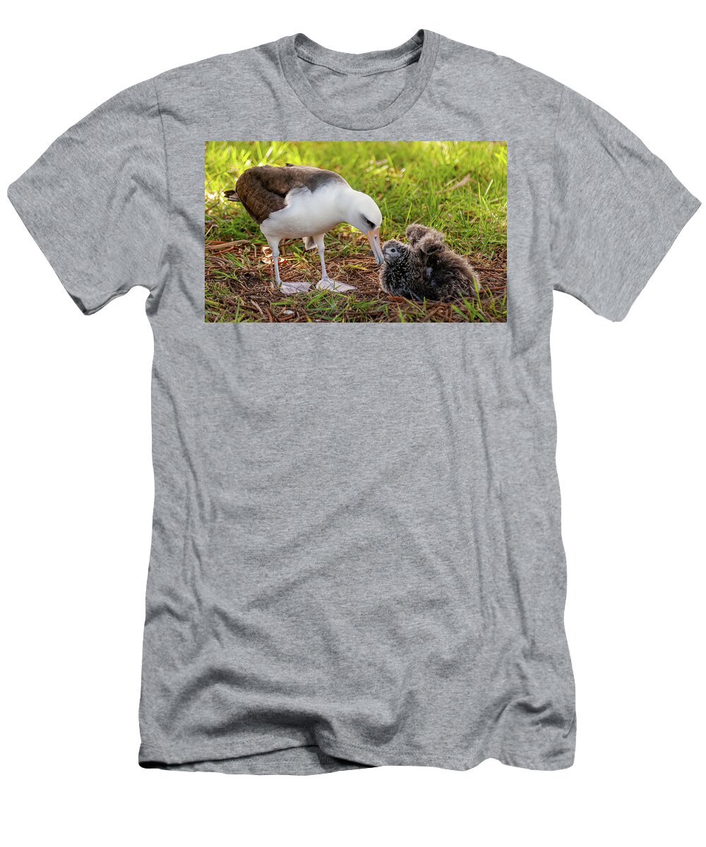 Kauai T-Shirt featuring the photograph Testing the Wings out. by Doug Davidson