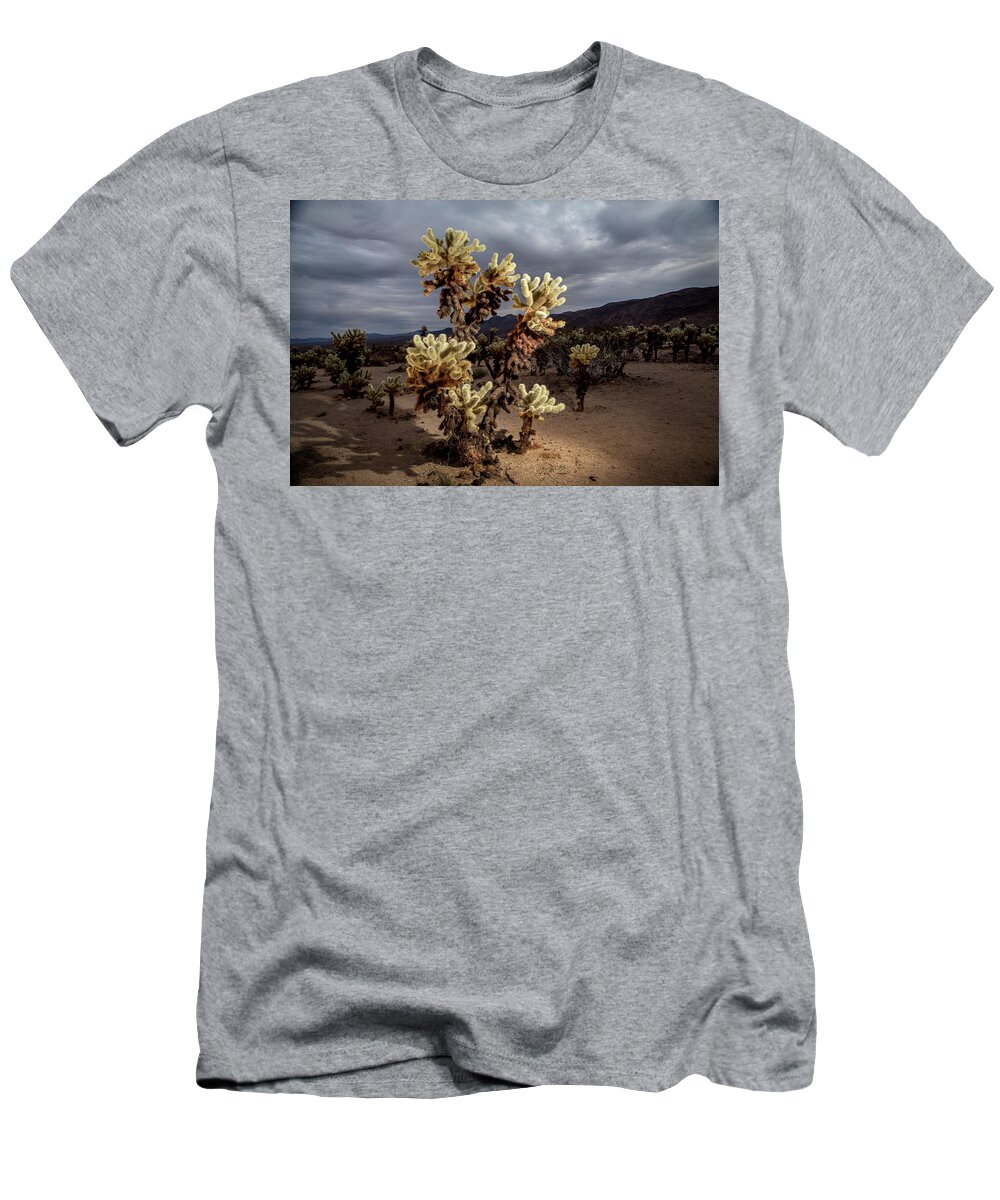 Joshua Tree National Park T-Shirt featuring the photograph The Cholla Garden by Joseph Philipson
