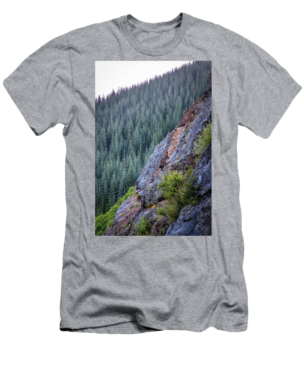 2019 T-Shirt featuring the photograph The Fragile Forest by Gerri Bigler