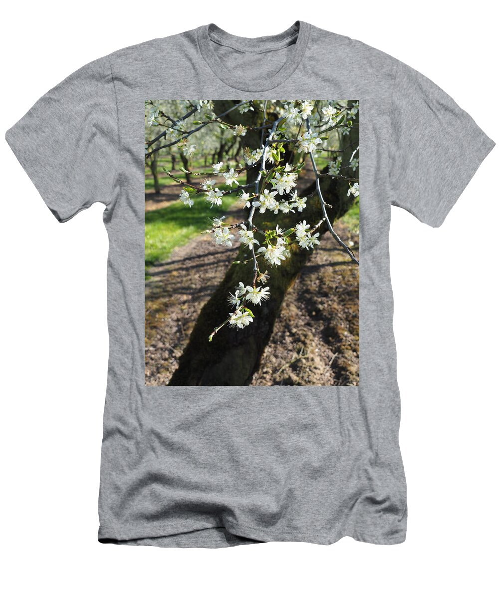 Plums T-Shirt featuring the photograph The Fragile Nature of Farming by Leslie Struxness