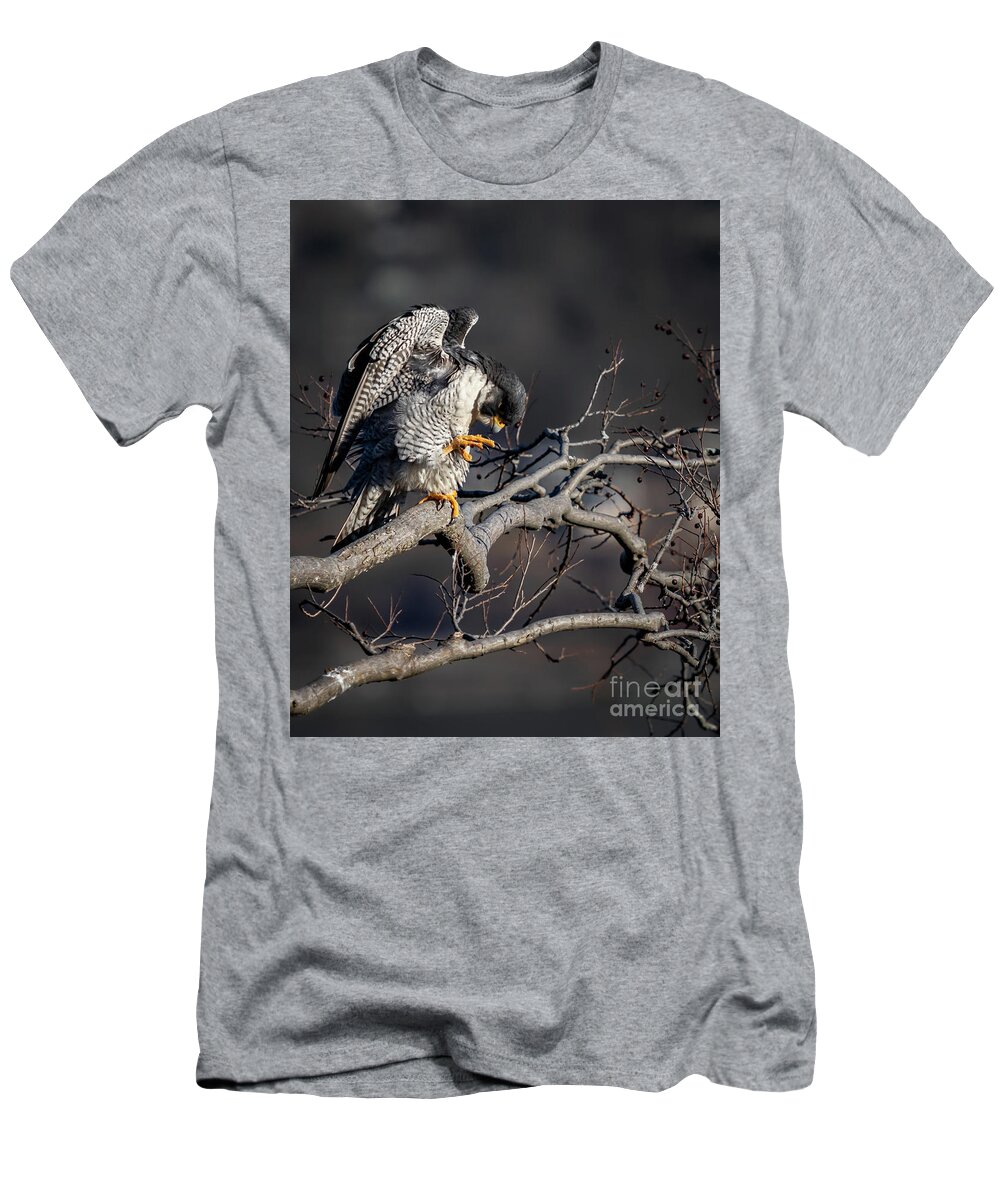 Peregrine Falcon T-Shirt featuring the photograph The Gargoyle by Alyssa Tumale