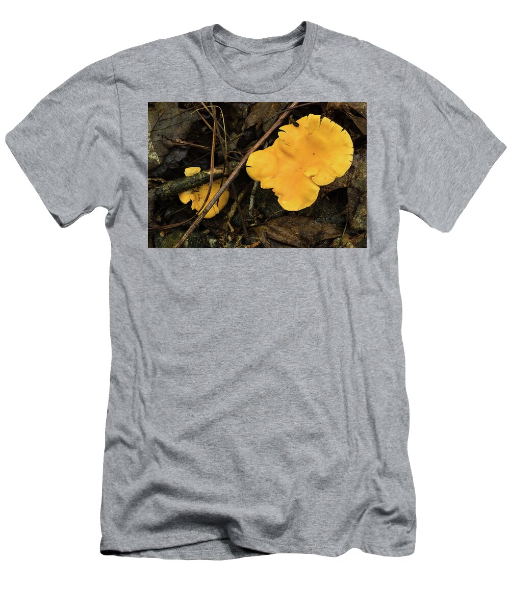 Mcdowell County T-Shirt featuring the photograph The Golden Mushroom by Joni Eskridge