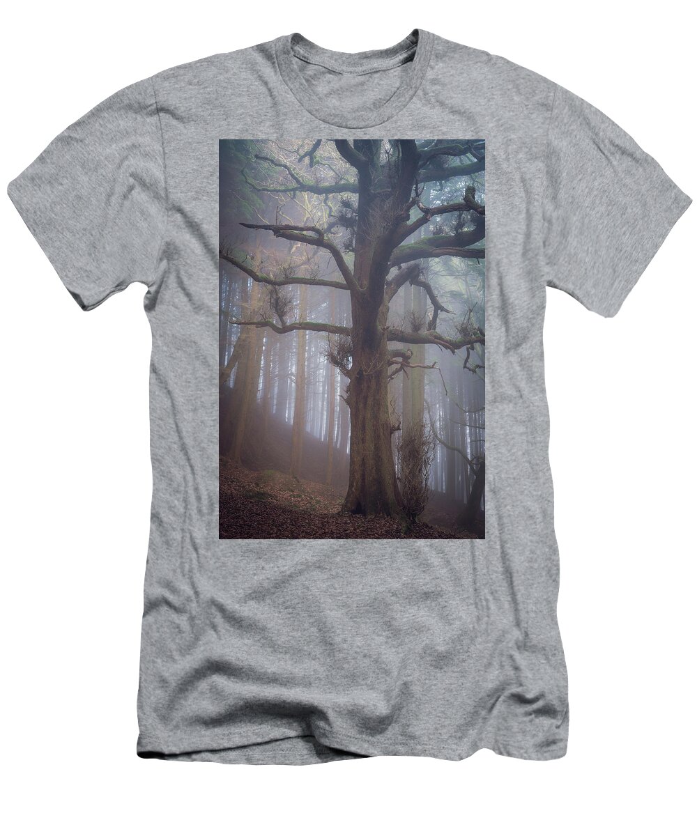 Tree T-Shirt featuring the photograph The Loner by Gavin Lewis