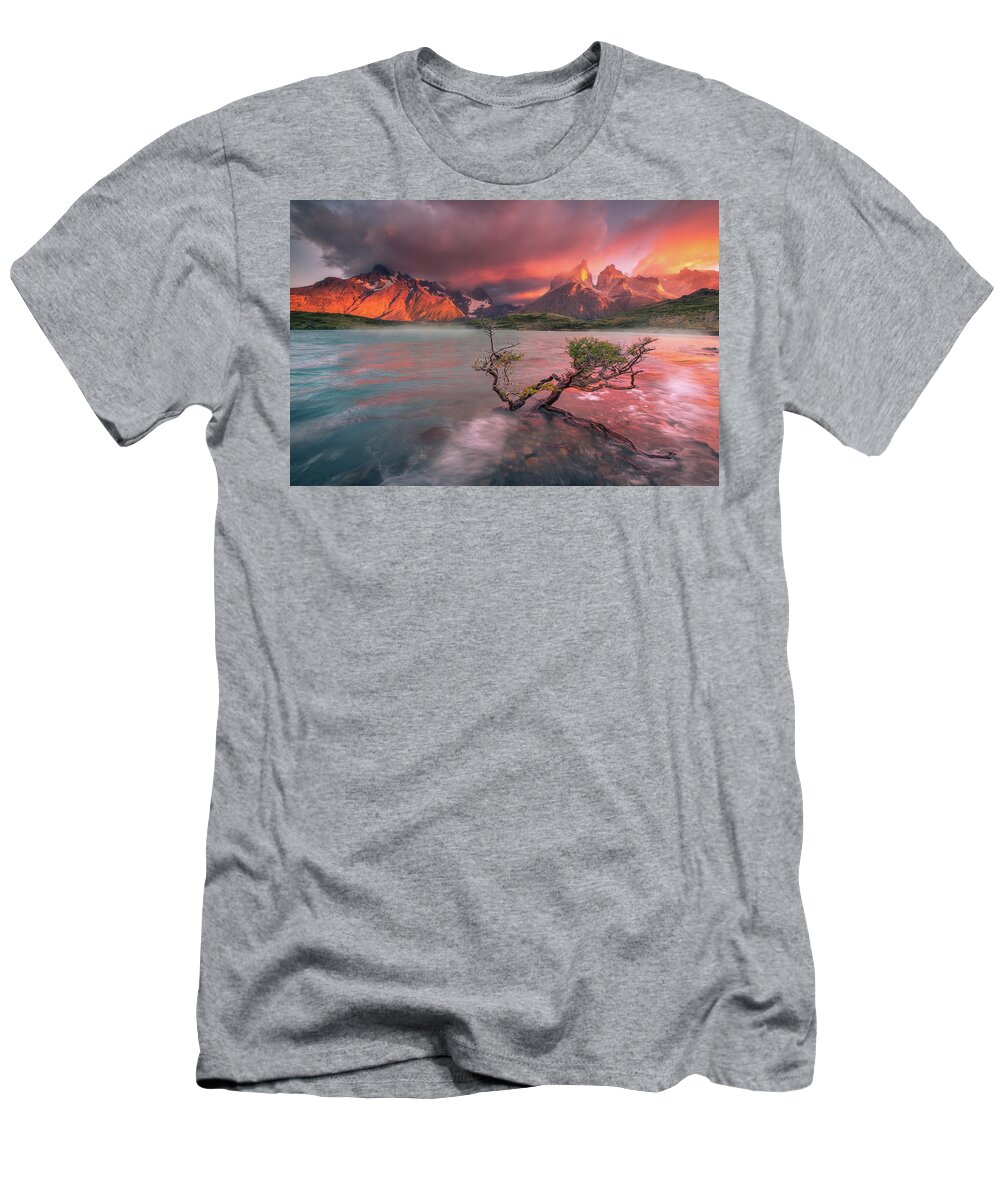 Patagonia T-Shirt featuring the photograph The Twin Trees #3 by Henry w Liu