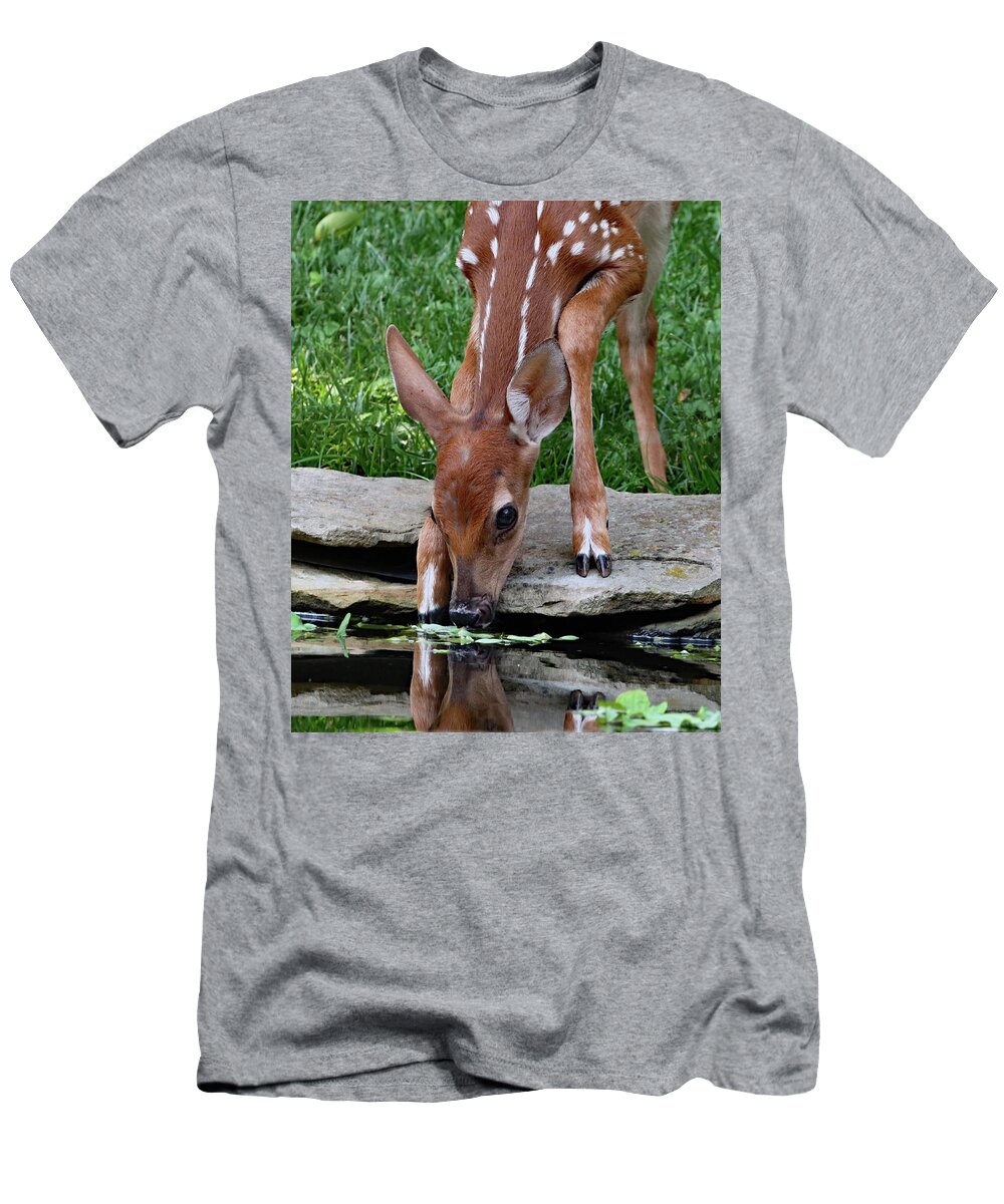 Fawn T-Shirt featuring the photograph Thirsty Fawn by Gina Fitzhugh