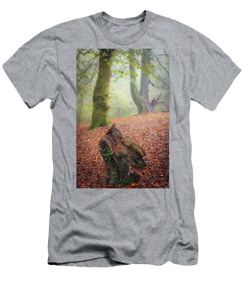 Autumn T-Shirt featuring the photograph This Autumn goes all the way to 11 by Gavin Lewis