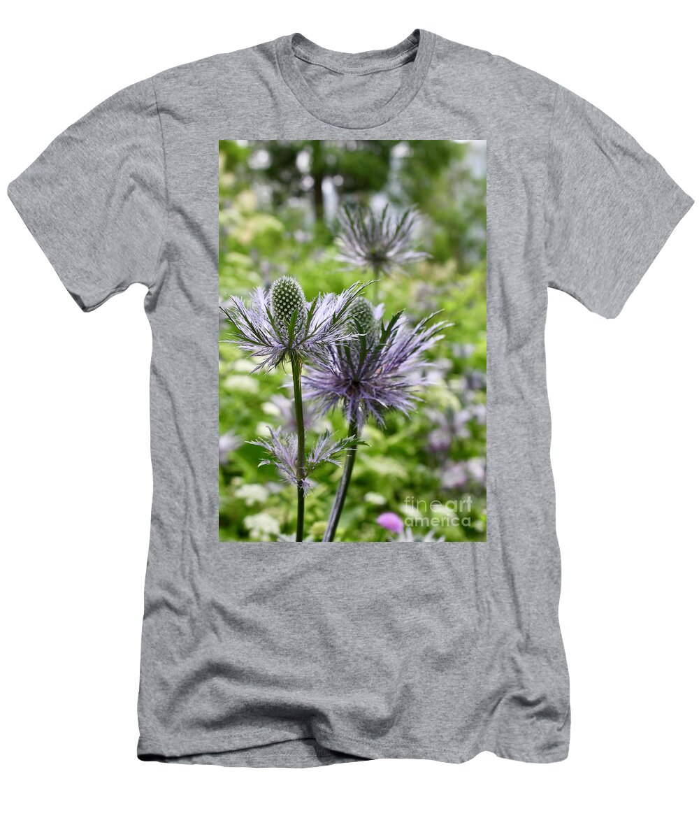 Thistle T-Shirt featuring the photograph Thistle by Flavia Westerwelle