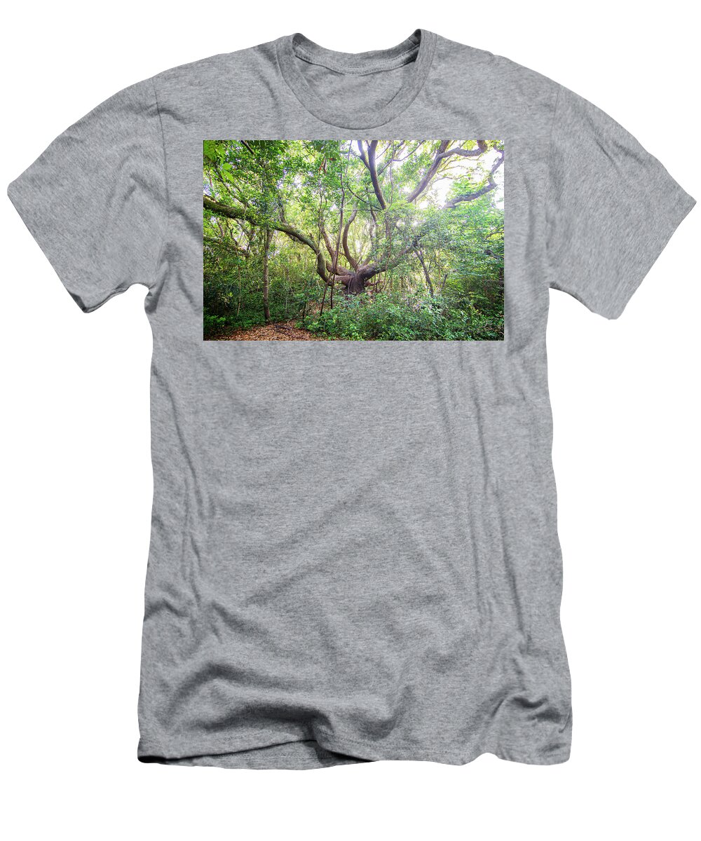 Live Oak T-Shirt featuring the photograph Three Century Live Oak Tree - North Carolina Crystal Coast by Bob Decker