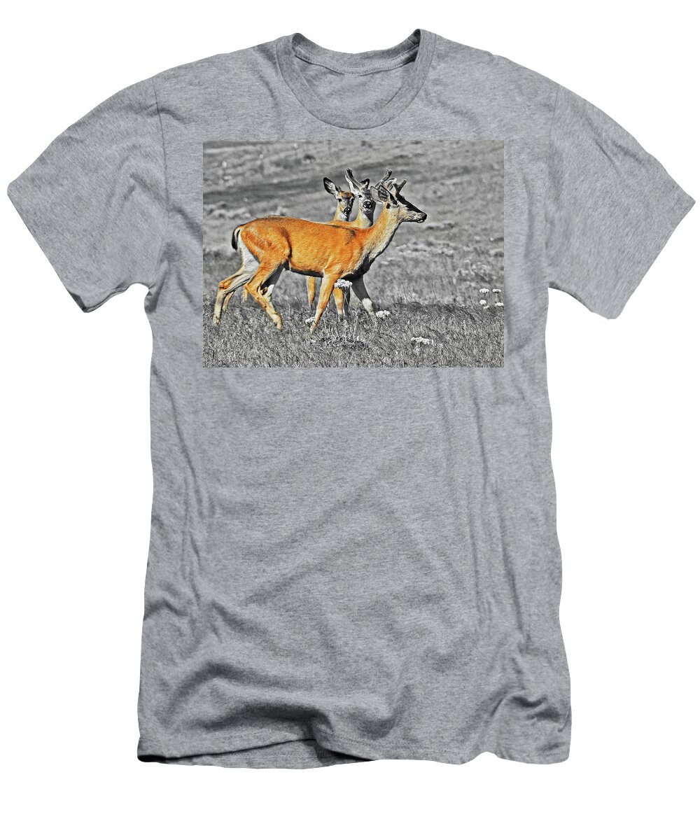 Bever Deer Ice Hous T-Shirt featuring the digital art Three Young Bucks by Fred Loring