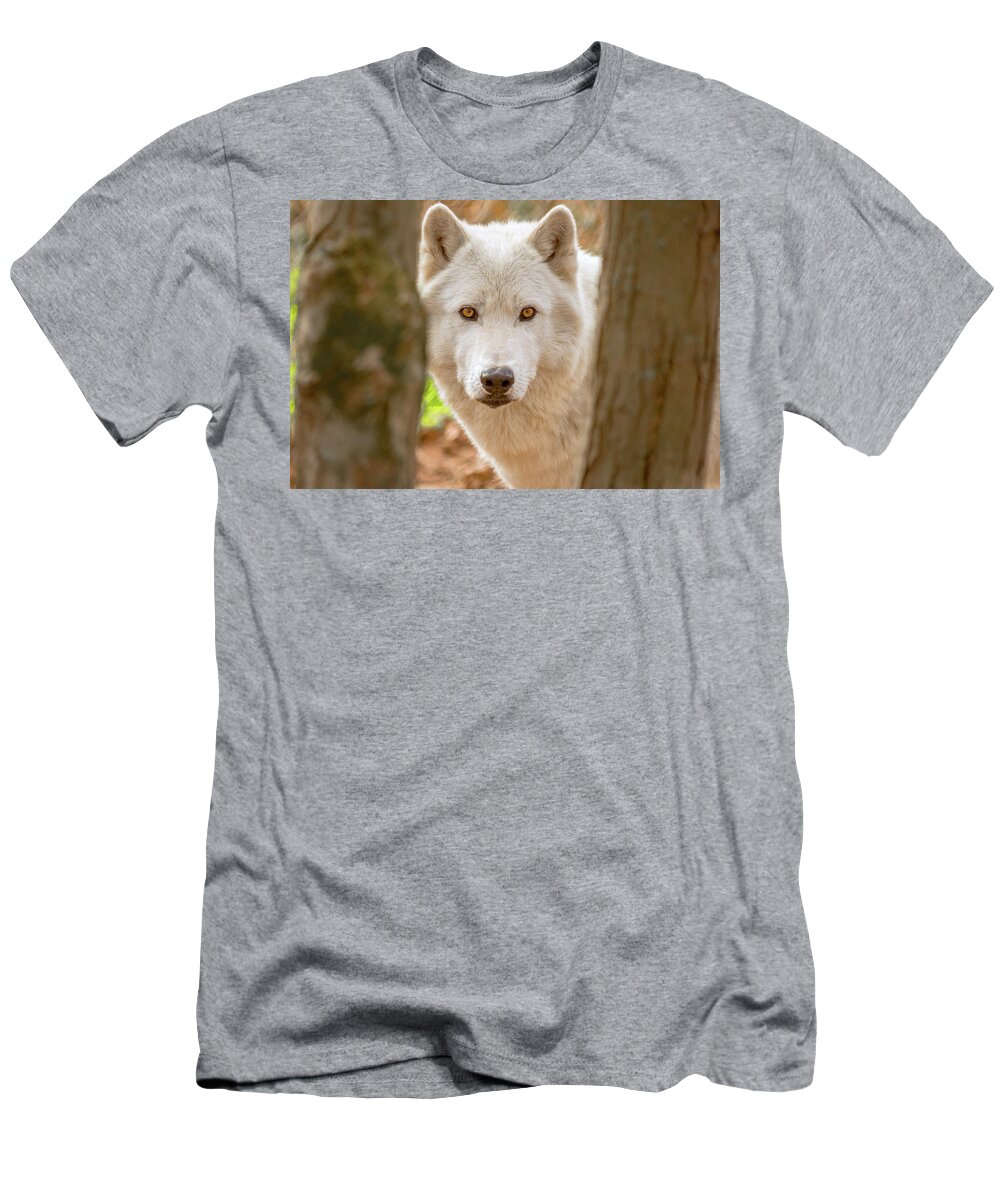 Animals T-Shirt featuring the photograph Through The Trees by Eric Albright