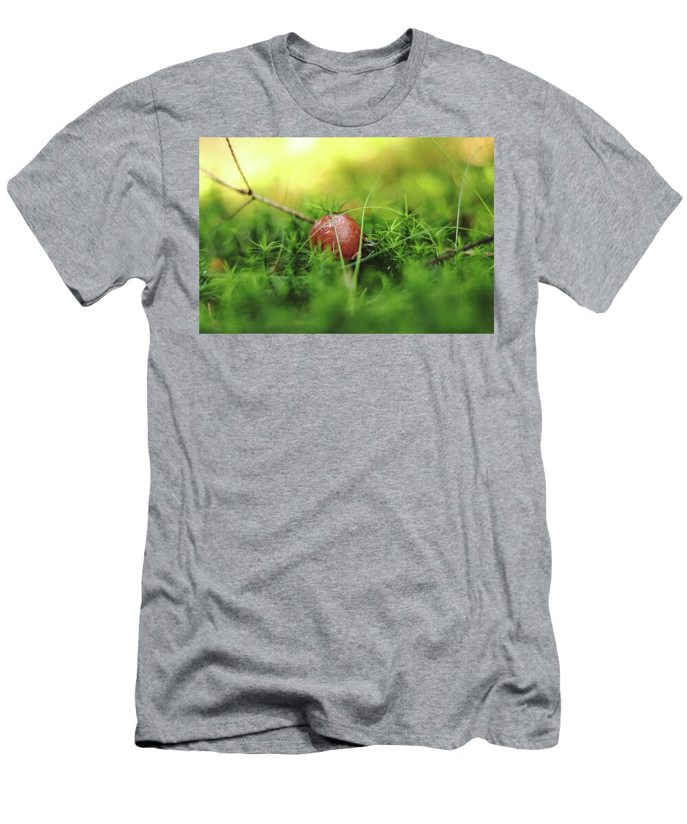 Czech Mushroom T-Shirt featuring the photograph Tiny brown mushroom Imleria badia hidden in the middle of forest moss and needle and show us only brown cap. He is so shy. Mushrooms season. Very small bay bolete with oozy hat by Vaclav Sonnek