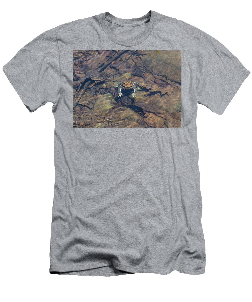 Frog T-Shirt featuring the photograph Toad In Water by Amelia Pearn