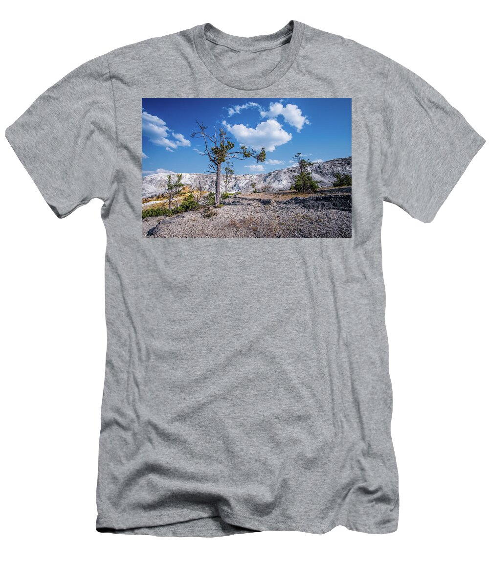 Yellowstone T-Shirt featuring the photograph Tree and deep blue sky by Alberto Zanoni