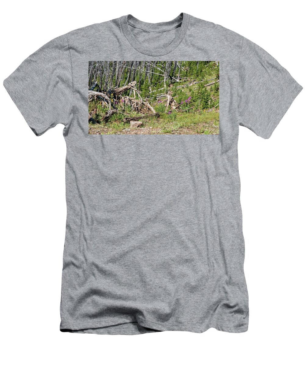 No People T-Shirt featuring the photograph Tree up in yellowstone by Nathan Wasylewski