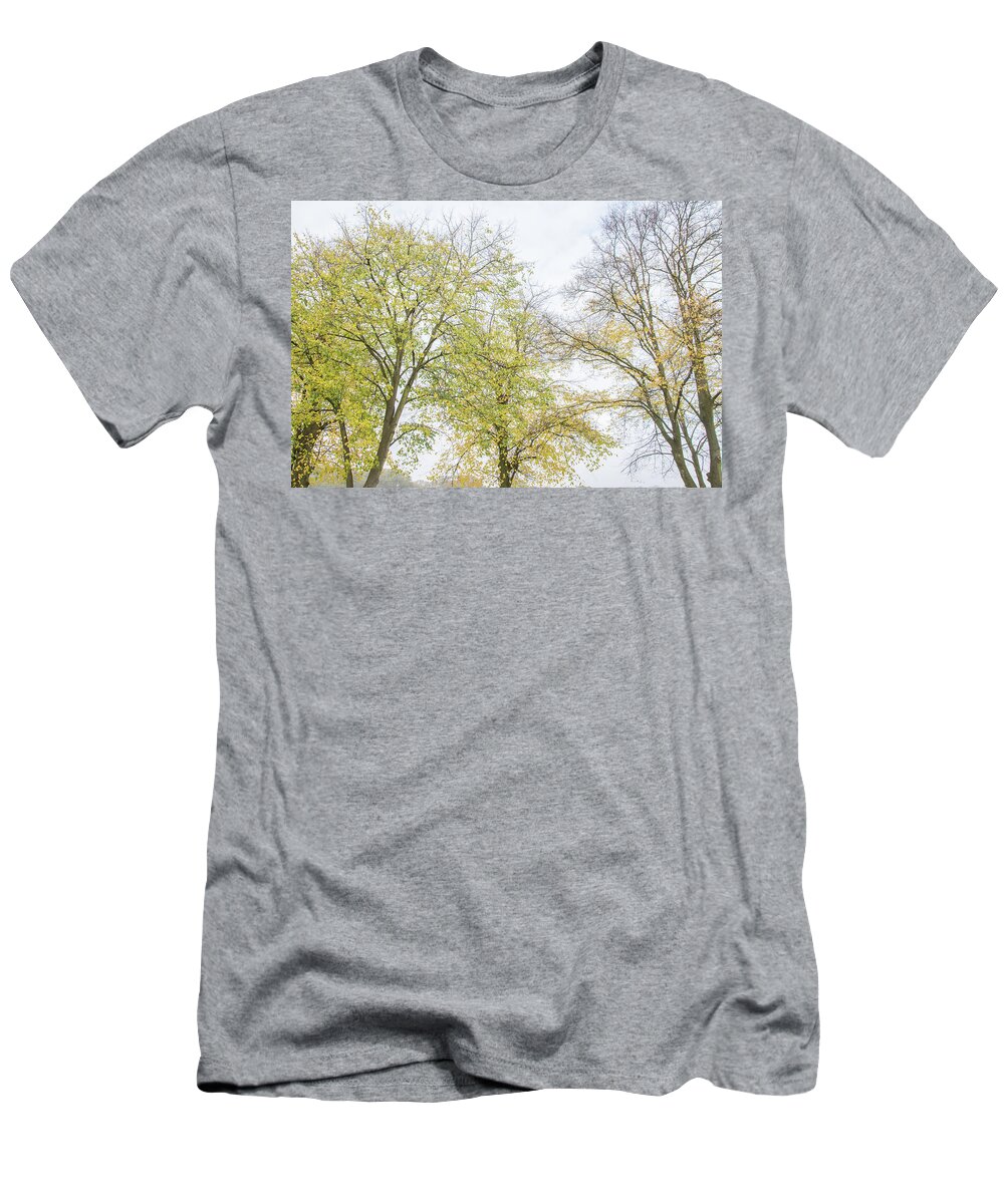 Trent Park T-Shirt featuring the photograph Trent Park Trees Fall 16 by Edmund Peston