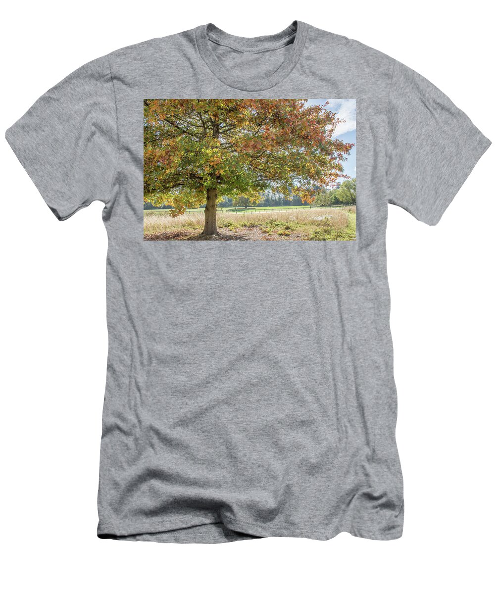Trent Park T-Shirt featuring the photograph Trent Park Trees Fall 18 by Edmund Peston