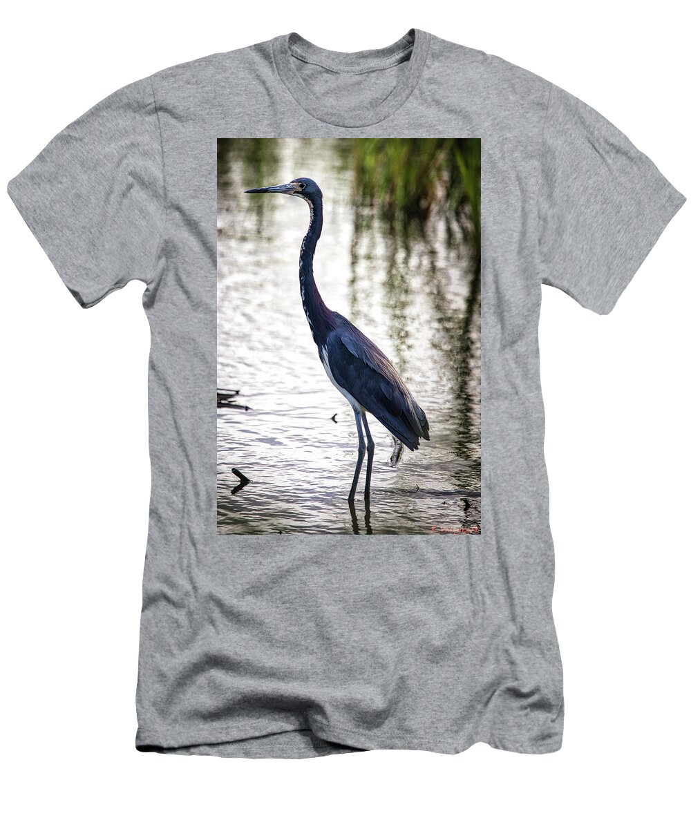Heron T-Shirt featuring the photograph Tri-Colored Heron by Rene Vasquez