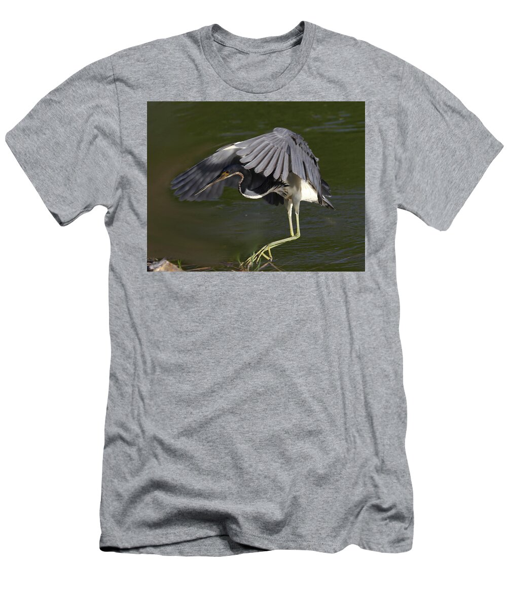 Tricolored Heron T-Shirt featuring the photograph Tricolored Heron in Flight by Mingming Jiang