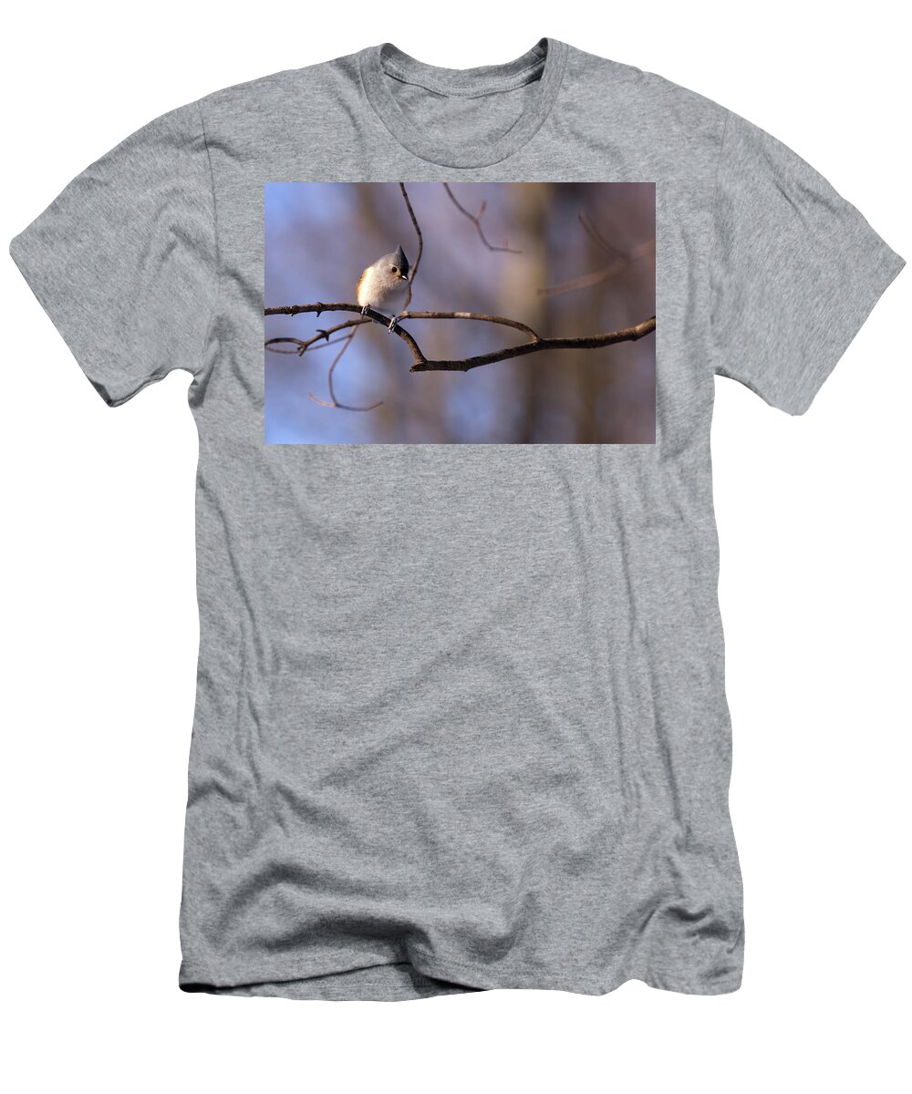 Bird T-Shirt featuring the photograph Tufted Tit Mouse by Flinn Hackett