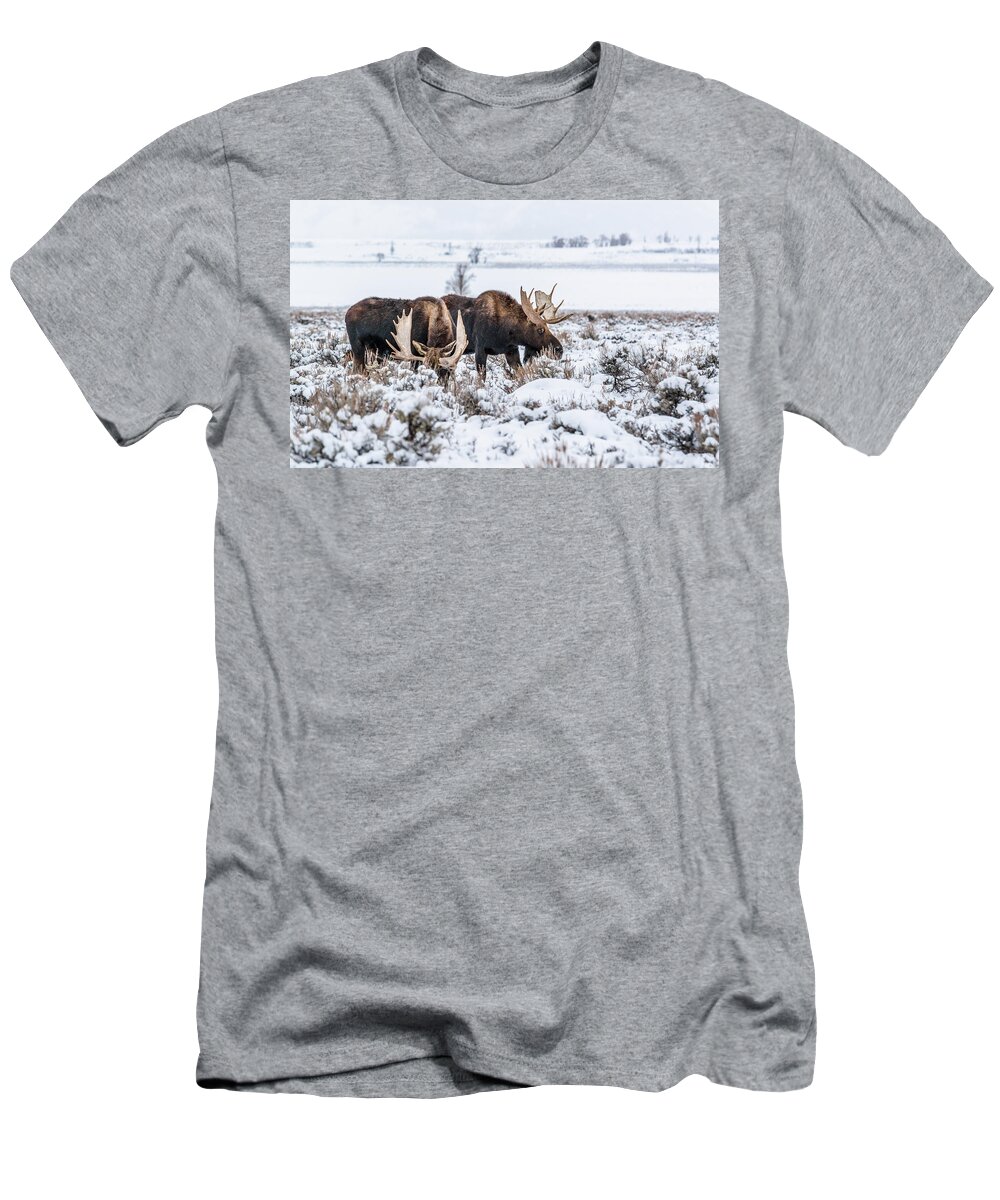 Moose T-Shirt featuring the photograph Two Bulls In Winter by Yeates Photography