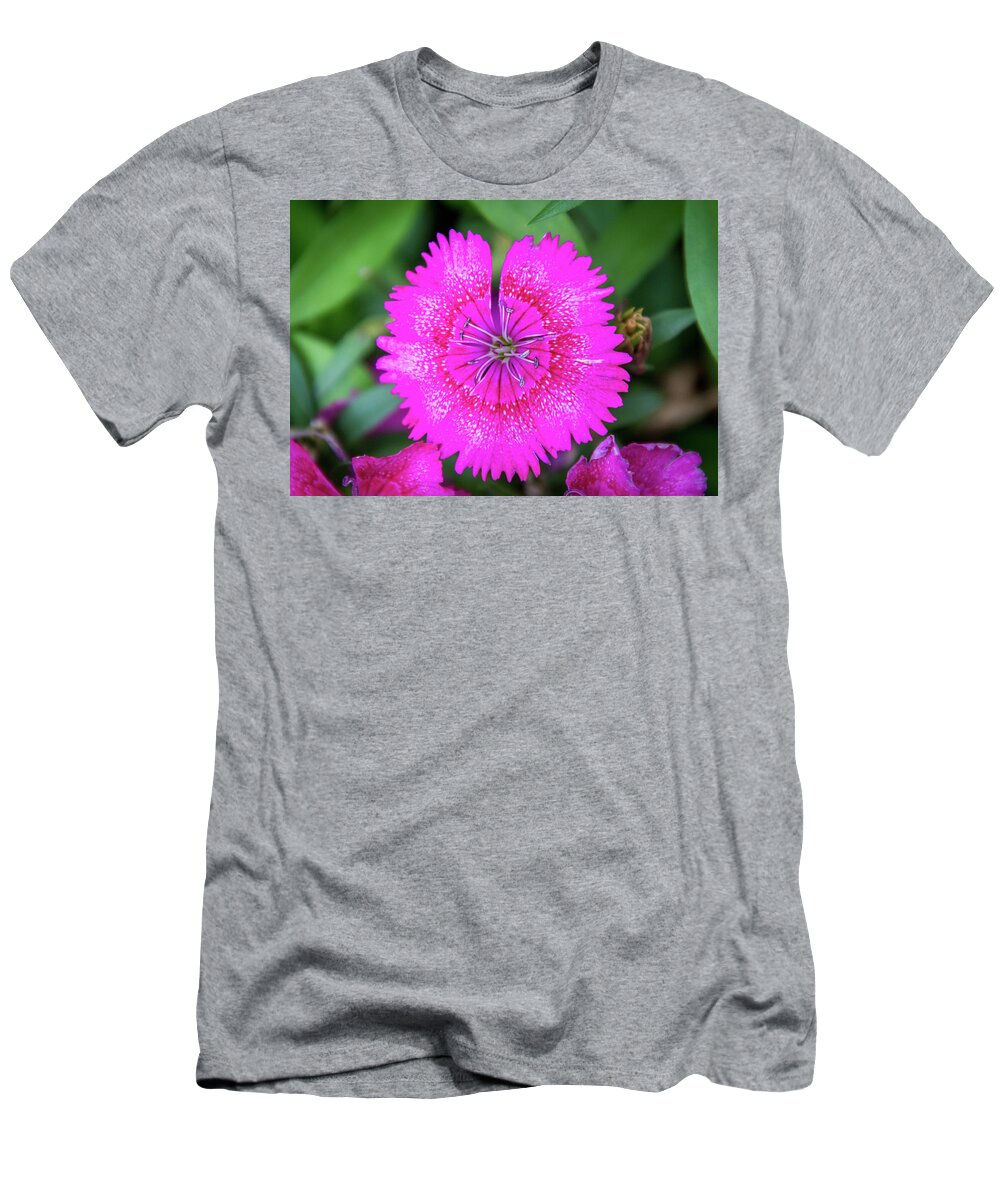 China Pink T-Shirt featuring the photograph Vibrant Pink Dianthus by Debra Martz