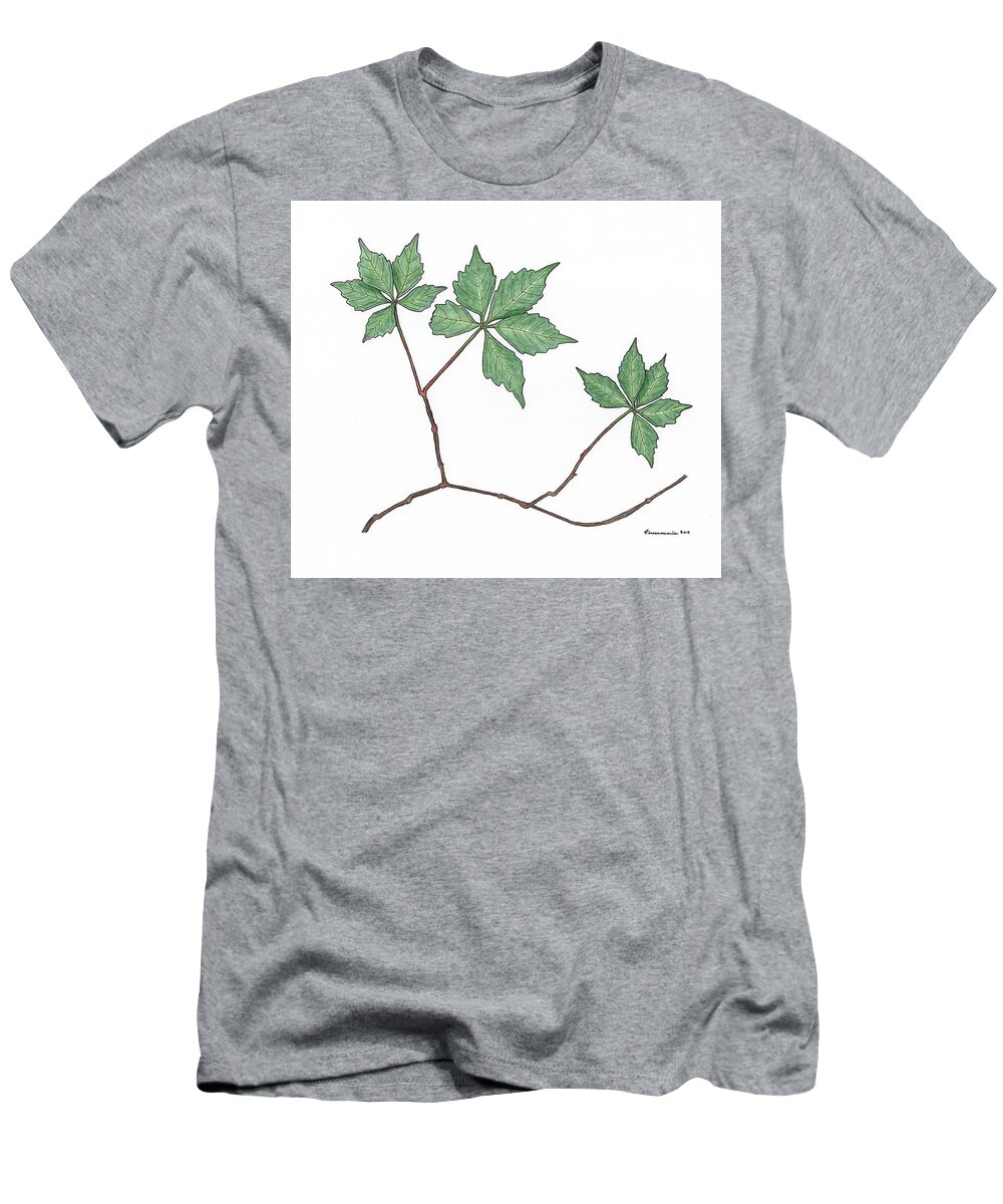 Botanical T-Shirt featuring the drawing Virginia Creeper by Teresamarie Yawn
