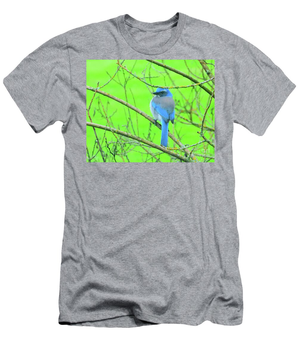  California Scrub-jay T-Shirt featuring the photograph Waiting for Peanuts by Scott Cameron