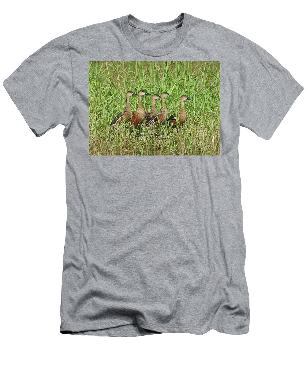Animals T-Shirt featuring the photograph Wandering Whistling-Ducks by Maryse Jansen