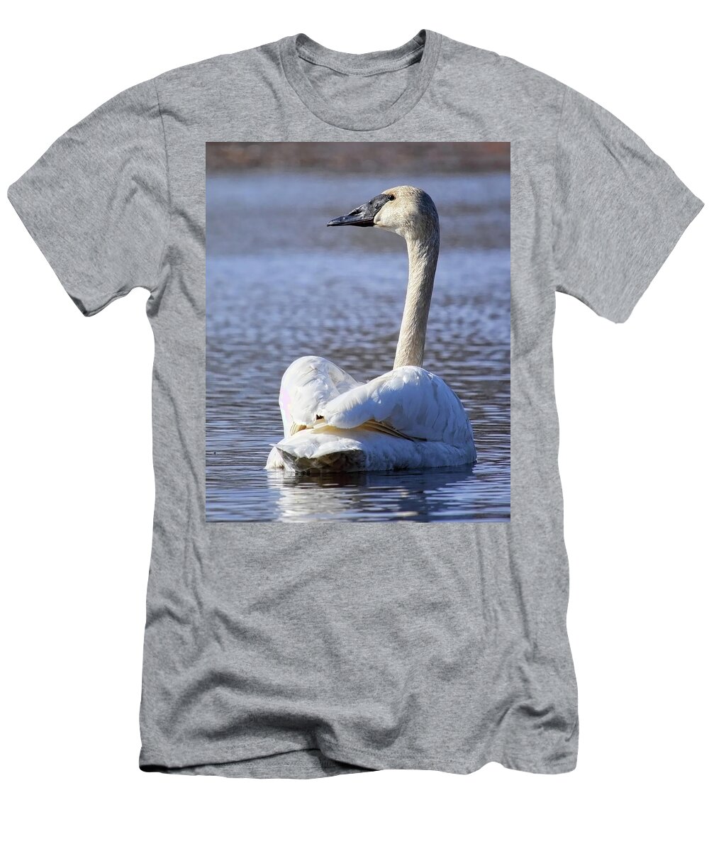 Waterfowl T-Shirt featuring the photograph Watchful Trumpeter Swan by Dale Kauzlaric